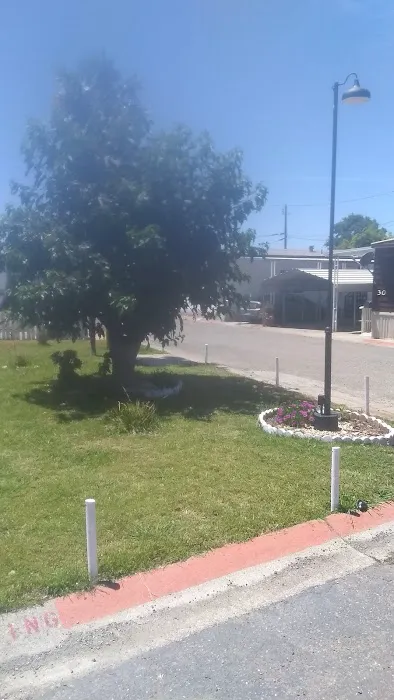 Isleton Trailer Park Picture 5