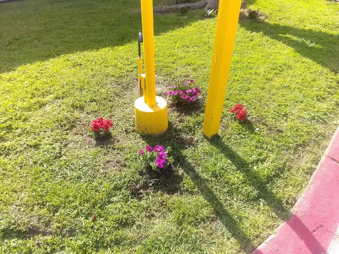 Isleton Trailer Park Picture 6