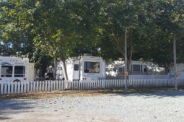 New Hope Landing RV Park & Marina Picture 5