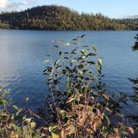 BWCA Campsite #664 ico