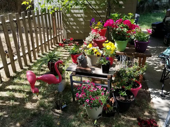 Terrace Trailer Park Picture 8