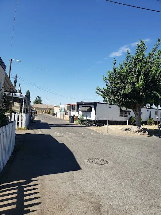 Broad Acres Mobile Home Park Picture 3