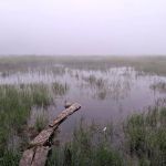 South Carlson Pond Camp