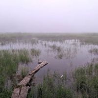 South Carlson Pond Camp ico