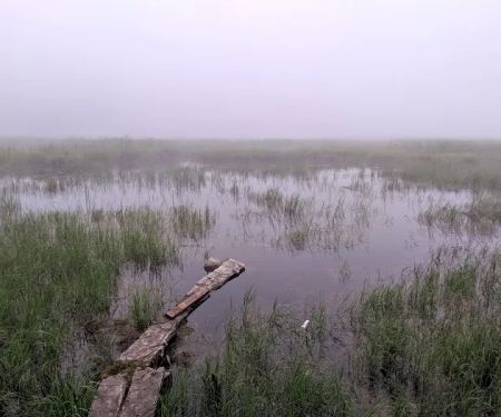 South Carlson Pond Camp