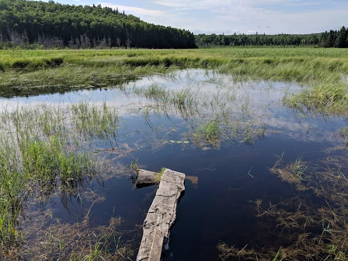 South Carlson Pond Camp Picture 3