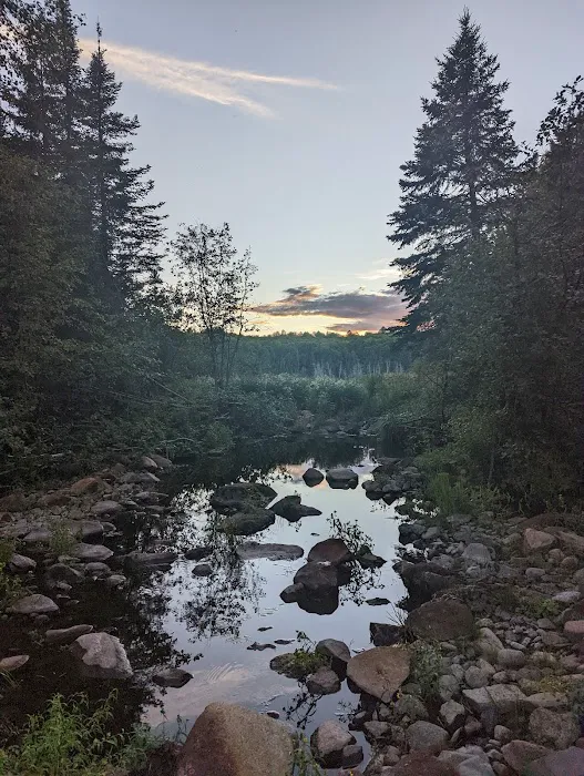 South Carlson Pond Camp Picture 5