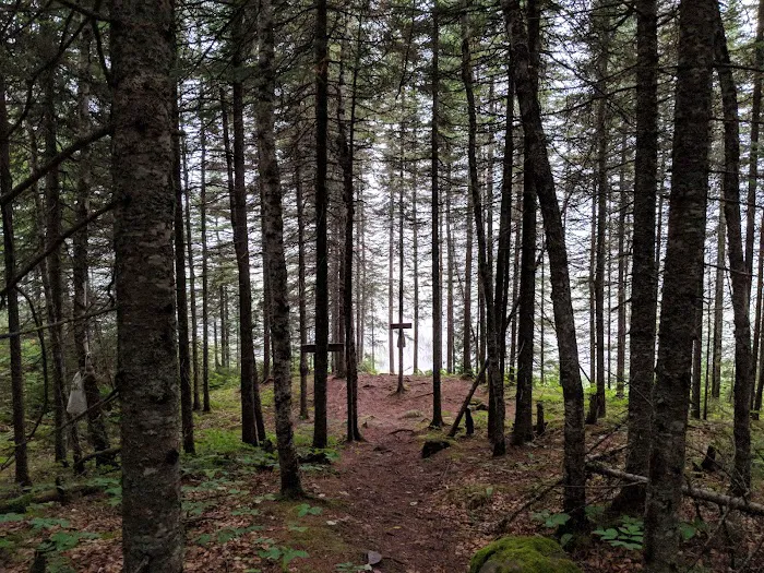 South Carlson Pond Camp Picture 4
