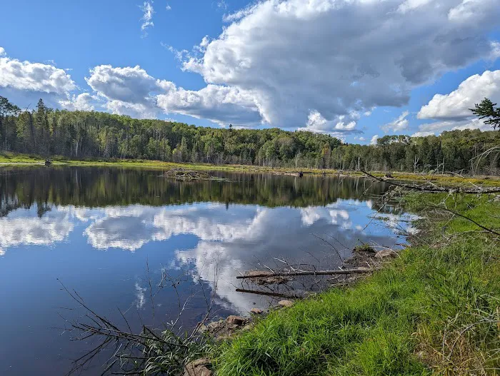 North Carlson Pond Camp Picture 1