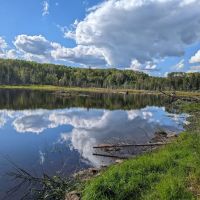 North Carlson Pond Camp ico
