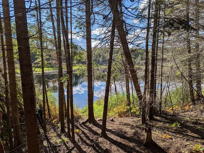 North Carlson Pond Camp Picture 2