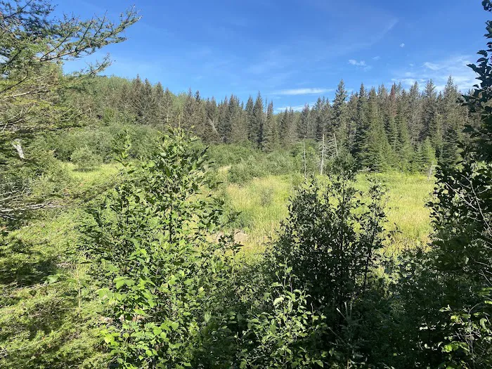 North Carlson Pond Camp Picture 9