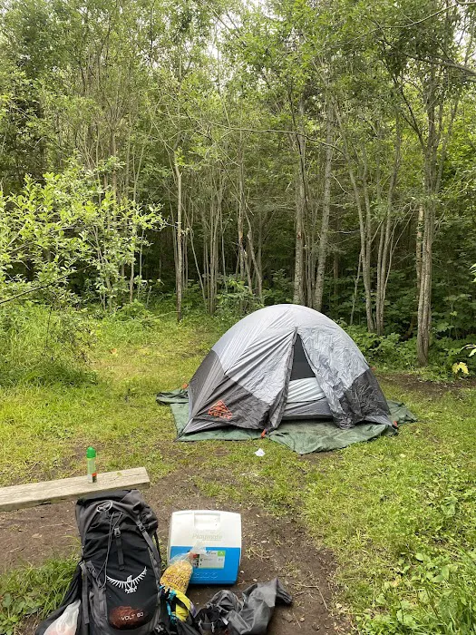 North Carlson Pond Camp Picture 10