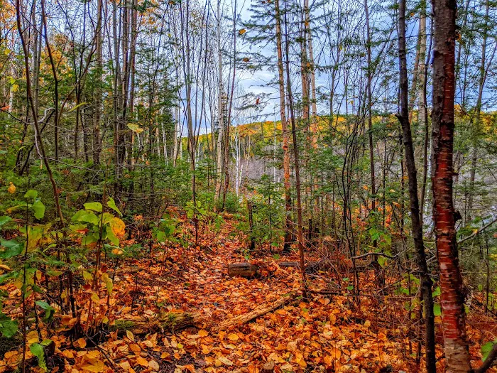 Woodland Caribou Pond Camp Picture 2