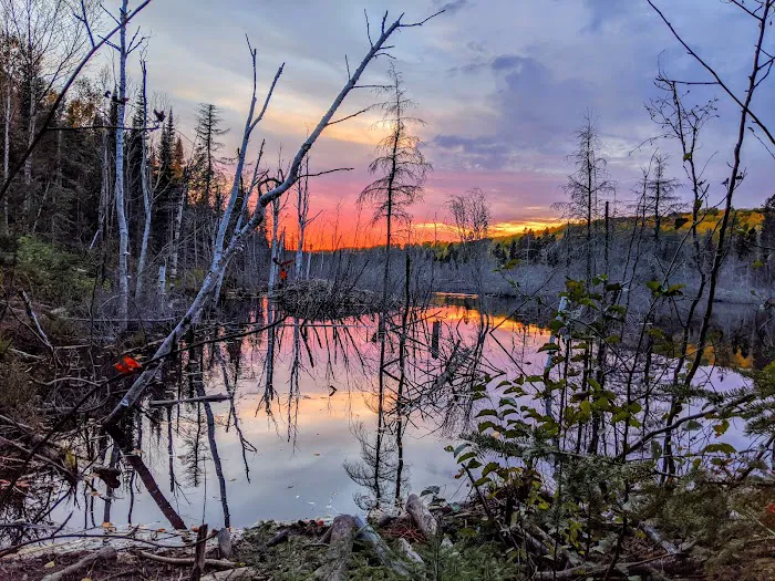 Woodland Caribou Pond Camp Picture 1
