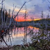 Woodland Caribou Pond Camp ico
