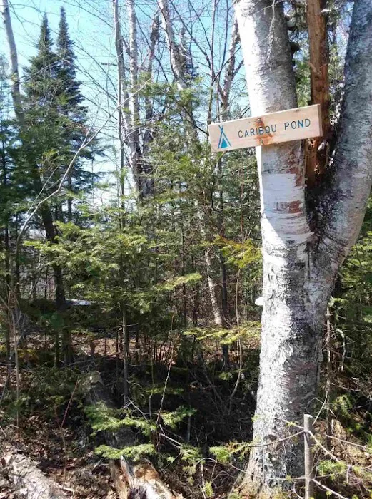 Woodland Caribou Pond Camp Picture 7