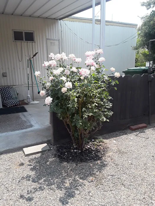 Silverwood Mobile Home Park Picture 5