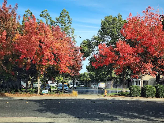 Homewood Village Mobile Home Park Picture 6