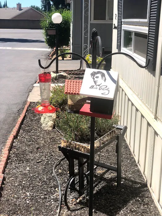 Park Sierra Mobile Home Park Picture 4