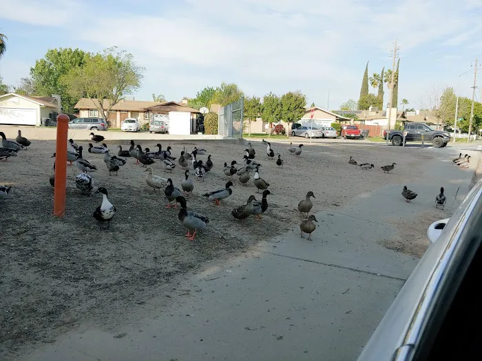 Quail Meadows Picture 9