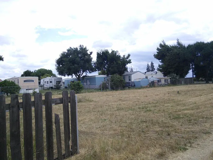 Olive Lane Trailer Park Picture 3