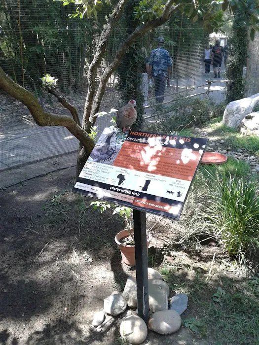 Il Vineto Mobile Home Park Picture 1