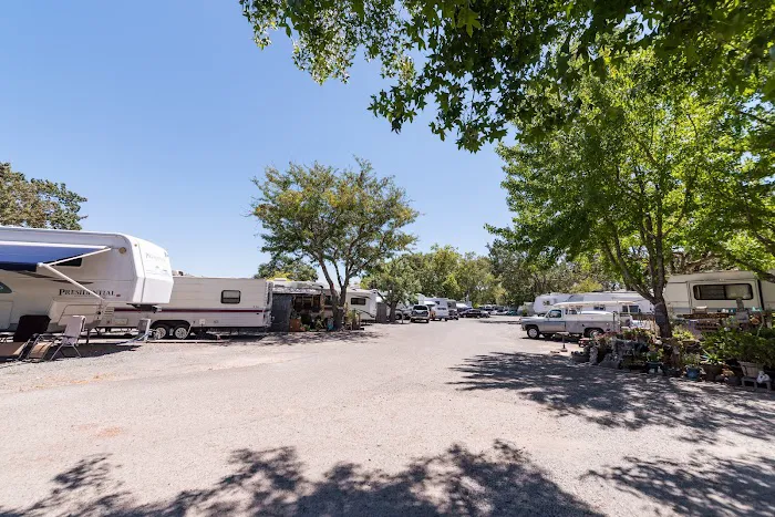 Windsor RV Park Picture 9