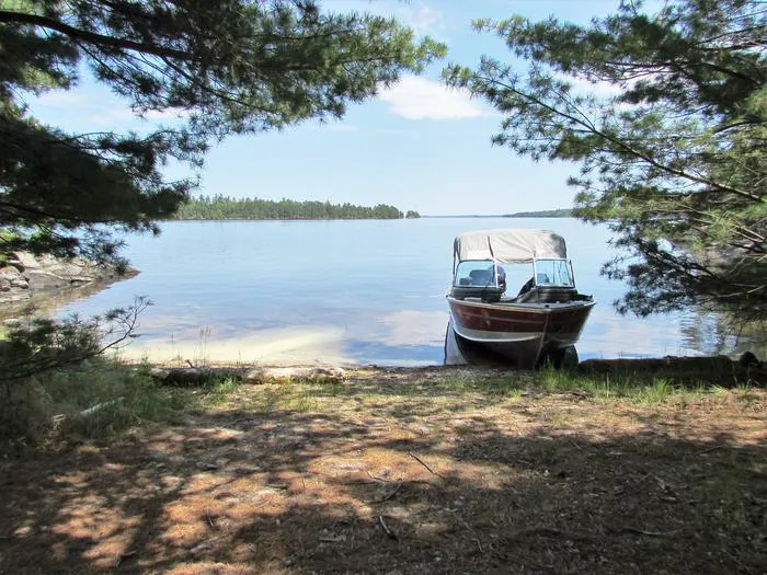 Fox Island N10 Campsite Picture 9