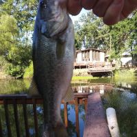 Creekside Mobile Home Park ico