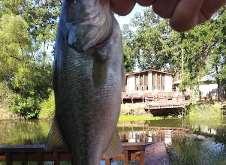 Creekside Mobile Home Park