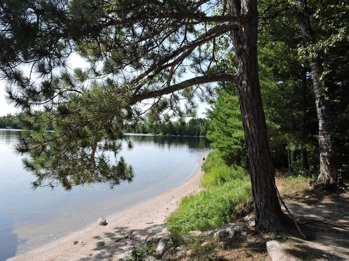 Wolf Pack Central N47 Campsite Picture 1