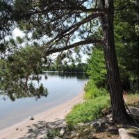 Wolf Pack Central N47 Campsite ico