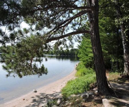 Wolf Pack Central N47 Campsite