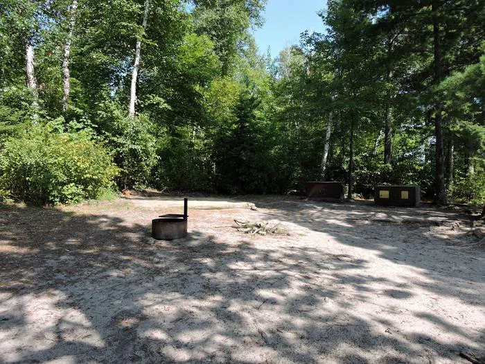 Wolf Pack Central N47 Campsite Picture 4