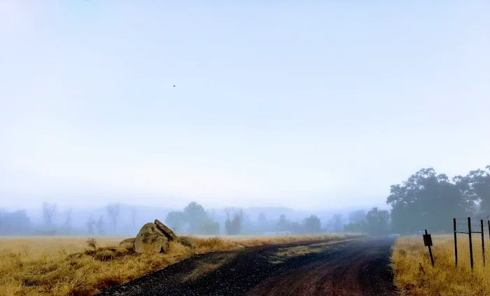 Sleepy Hollow MHP Picture 1