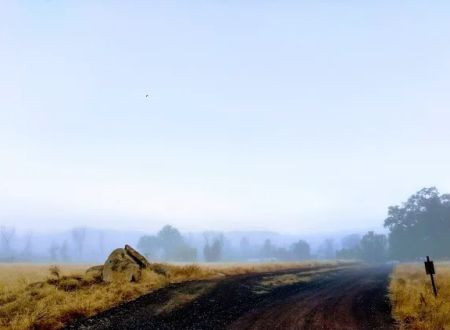Sleepy Hollow MHP