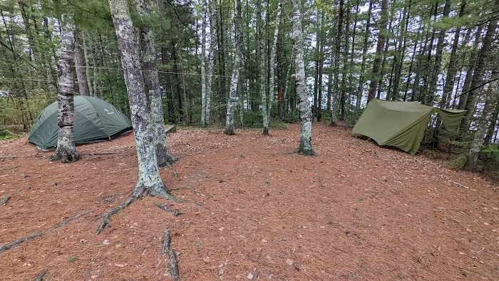 Wolf Pack West N46 Campsite Picture 5