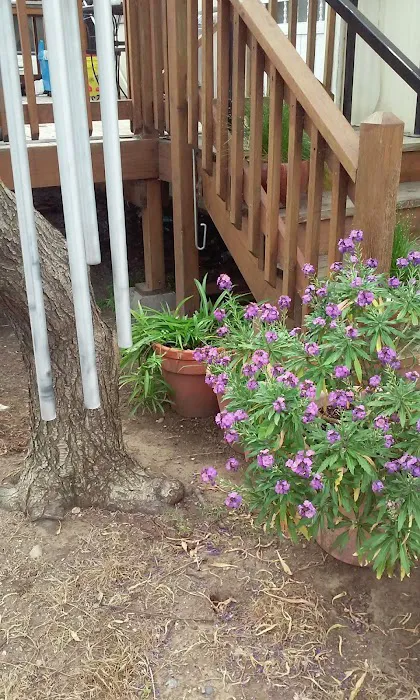 Almond Grove Mobile Home Park Picture 2