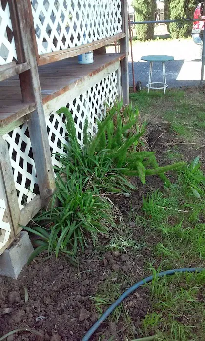 Almond Grove Mobile Home Park Picture 4