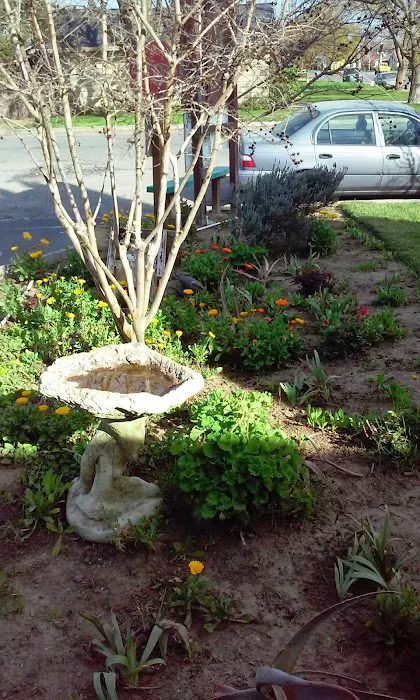 Almond Grove Mobile Home Park Picture 7