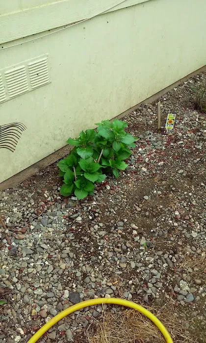 Almond Grove Mobile Home Park Picture 9