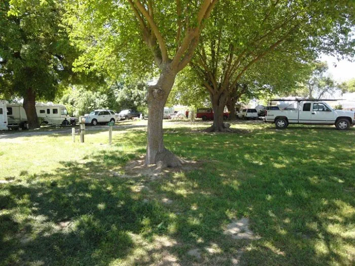 Lovey's Landing RV park Picture 2