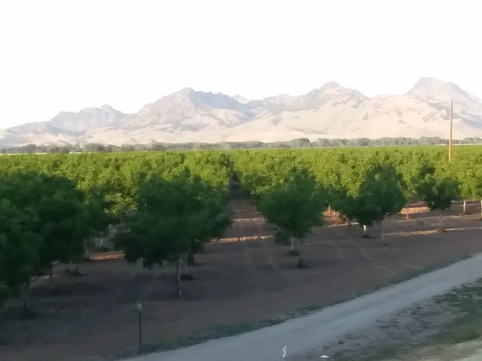 Lovey's Landing RV park Picture 6