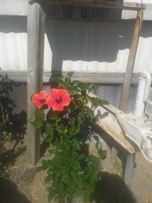 Bryte Mobile Home Park Picture 1