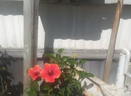 Bryte Mobile Home Park