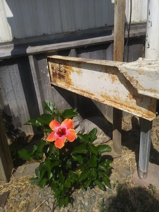 Bryte Mobile Home Park Picture 3