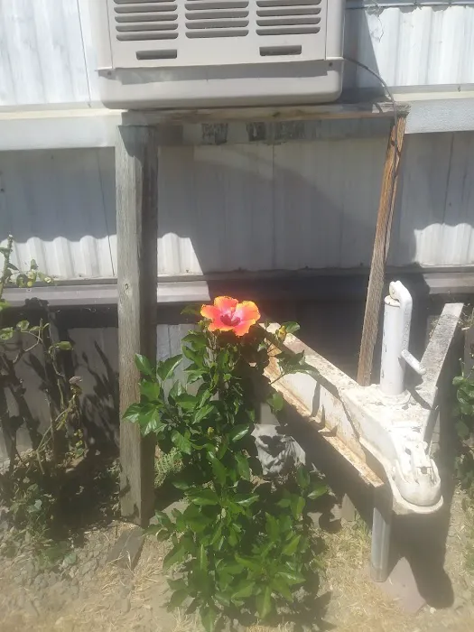 Bryte Mobile Home Park Picture 4