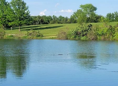 Lakeview Campground and RV Park