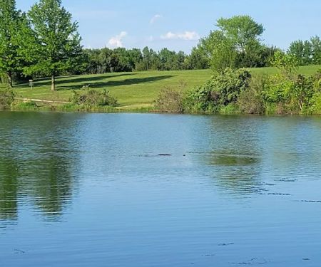 Lakeview Campground and RV Park